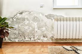 Kiêng mua nhà ẩm thấp, thiếu sáng, bí khí hoặc có mùi mốc